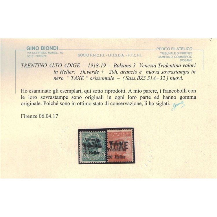 TRENTINO (BZ3) 1918-19 Venezia Tridentina soprast. TAXE 2v MH* ©