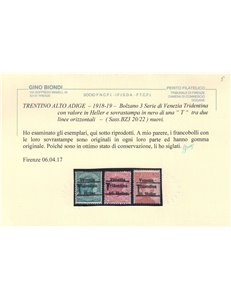 TRENTINO (BZ3) 1918-19 Venezia Tridentina (T senza cifra) 3v MH* ©