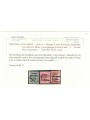 TRENTINO (BZ3) 1918-19 Venezia Tridentina (T senza cifra) 3v us ©