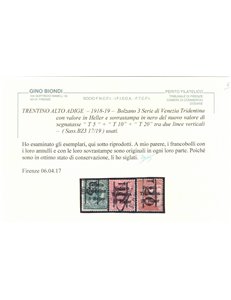 TRENTINO (BZ3) 1918-19 Venezia Tridentina (T con cifra verticale) 3v us ©