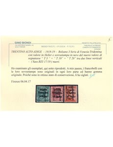TRENTINO (BZ3) 1918-19 Venezia Tridentina (T con cifra verticale) 3v MH* ©