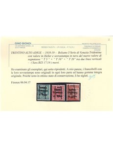 TRENTINO (BZ3) 1918-19 Venezia Tridentina (T con cifra verticale) 3v MNH** ©