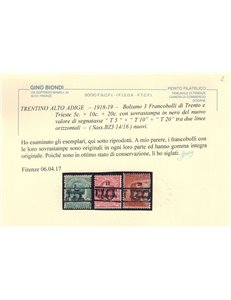 TRENTINO (BZ3) 1918-19 Trento e Trieste (T con cifra) 3v MNH** ©