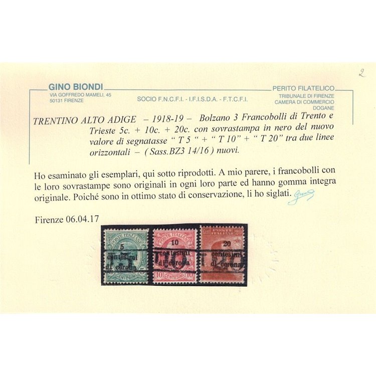TRENTINO (BZ3) 1918-19 Trento e Trieste (T con cifra) 3v MNH** ©