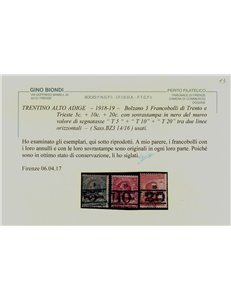 TRENTINO (BZ3) 1918-19 Trento e Trieste (T con cifra) 3v us ©