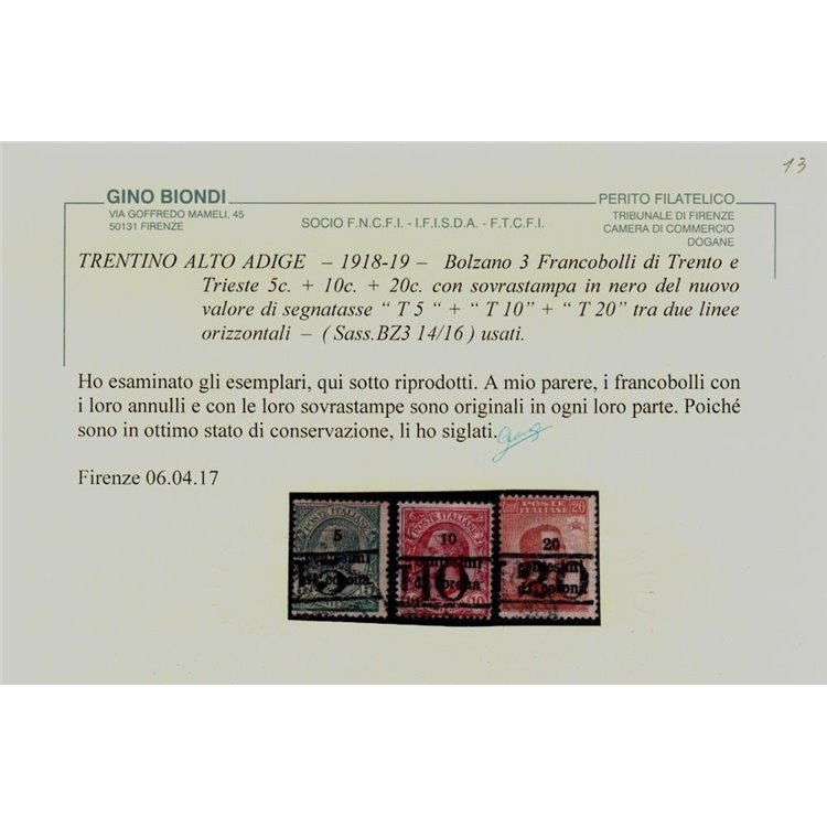 TRENTINO (BZ3) 1918-19 Trento e Trieste (T con cifra) 3v us ©