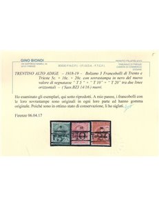 TRENTINO (BZ3) 1918-19 Trento e Trieste (T con cifra) 3v MH* ©