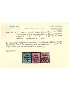 TRENTINO (BZ3) 1918-19 Venezia Tridentina (T con cifra orizzontale) 3v us ©
