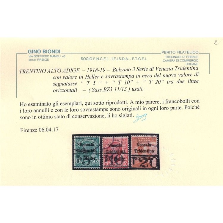 TRENTINO (BZ3) 1918-19 Venezia Tridentina (T con cifra orizzontale) 3v us ©