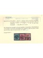 TRENTINO (BZ3) 1918-19 Venezia Tridentina (T con cifra orizzontale) 3v us ©