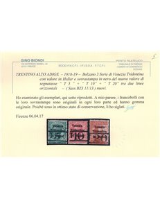 TRENTINO (BZ3) 1918-19 Venezia Tridentina (T con cifra orizzontale) 3v MH* ©