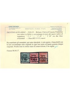 TRENTINO (BZ3) 1918-19 Venezia Tridentina (T con cifra orizzontale) 3v MNH** ©