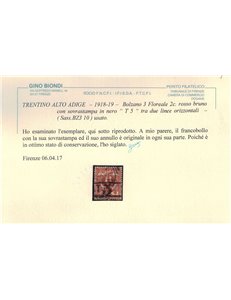 TRENTINO (BZ3) 1918-19 Floreale 2c rosso bruno (T con cifra orizzontale) us ©