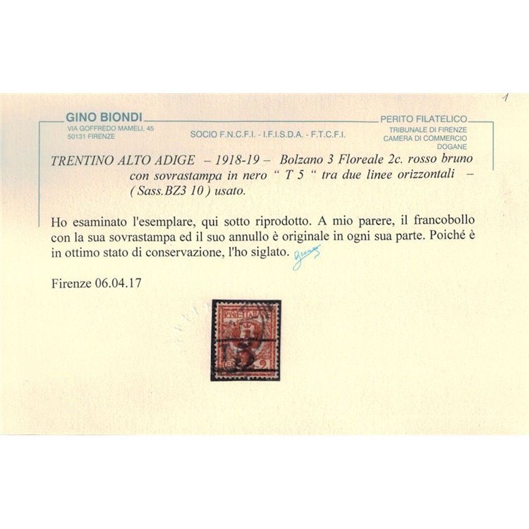 TRENTINO (BZ3) 1918-19 Floreale 2c rosso bruno (T con cifra orizzontale) us ©