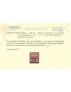 TRENTINO (BZ3) 1918-19 Floreale 2c rosso bruno (T con cifra orizzontale) MH* ©