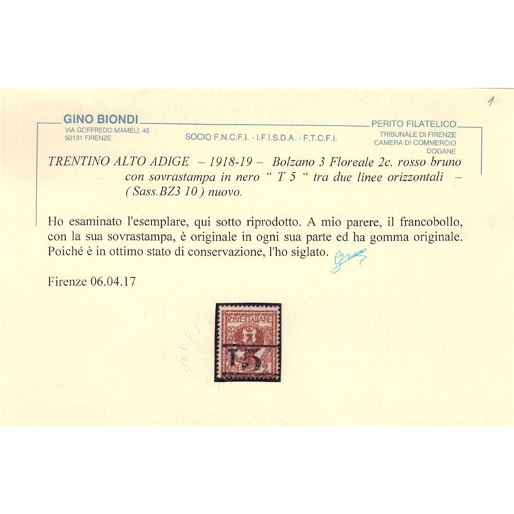TRENTINO (BZ3) 1918-19 Floreale 2c rosso bruno (T con cifra orizzontale) MH* ©