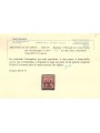 TRENTINO (BZ3) 1918-19 Floreale 2c rosso bruno (T con cifra orizzontale) MH* ©