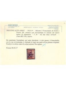 TRENTINO (BZ3) 1918-19 Trento e Trieste 20c (T con cifra verticale violetto) MH* ©