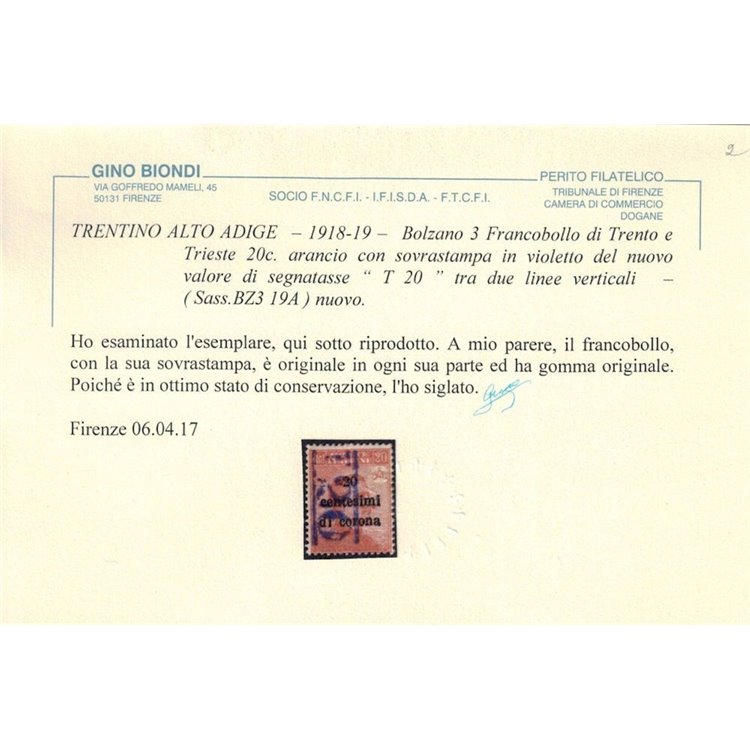 TRENTINO (BZ3) 1918-19 Trento e Trieste 20c (T con cifra verticale violetto) MH* ©