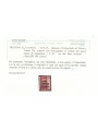 TRENTINO (BZ3) 1918-19 Trento e Trieste 20c (T con cifra verticale violetto) MNH** ©