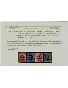 TRENTINO (BZ1) 1918-19 Trento e Trieste (T in rosso) 8v us ©