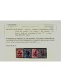 TRENTINO (BZ1) 1918-19 Trento e Trieste (T in rosso) 8v us ©