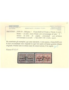 TRENTINO (BZ1) 1918-19 Trento e Trieste (Varietà) soprastampa T a cavallo 2v MNH** ©