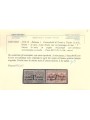 TRENTINO (BZ1) 1918-19 Trento e Trieste (Varietà) soprastampa T a cavallo 2v MNH** ©