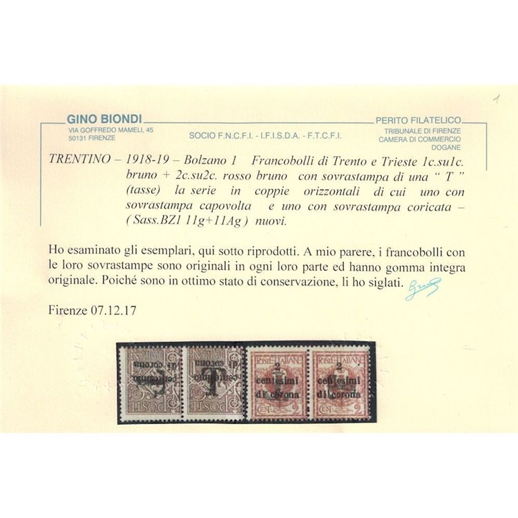 TRENTINO (BZ1) 1918-19 Trento e Trieste (Varietà) soprast. T capov. + coric. 2v MNH** ©