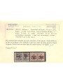 TRENTINO (BZ1) 1918-19 Trento e Trieste (Varietà) soprast. T capov. + coric. 2v MNH** ©