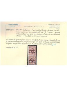 TRENTINO (BZ1) 1918-19 Trento e Trieste (Varietà) soprast. T obliqua 2v MNH** ©