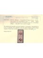 TRENTINO (BZ1) 1918-19 Trento e Trieste (Varietà) soprast. T obliqua 2v MNH** ©