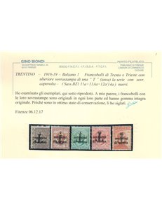 TRENTINO (BZ1) 1918-19 Trento e Trieste (Varietà) soprast. T capov. 5v MNH** ©