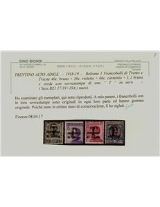 TRENTINO (BZ1) 1918-19 Trento e Trieste (T in nero) 11v MH* ©