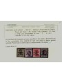 TRENTINO (BZ1) 1918-19 Trento e Trieste (T in nero) 11v MH* ©