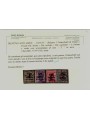 TRENTINO (BZ1) 1918-19 Trento e Trieste (T in nero) 11v us ©