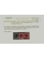 TRENTINO (BZ1) 1918-19 Venezia Tridentina (T in rosso) 3v us ©