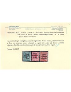 TRENTINO (BZ1) 1918-19 Venezia Tridentina (T in rosso) 3v MH* ©