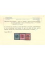 TRENTINO (BZ1) 1918-19 Venezia Tridentina (T in rosso) 3v MH* ©