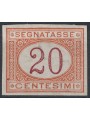 ITALIA REGNO 1890-94 Varietà Segnatasse 20c (non dentellato) MNH** ©