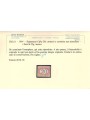 ITALIA REGNO 1890-94 Varietà Segnatasse 20c (non dentellato) MNH** ©