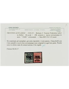 TRENTINO (BZ3) 1918-19 Venezia Tridentina soprast. TAXE 2v us ©