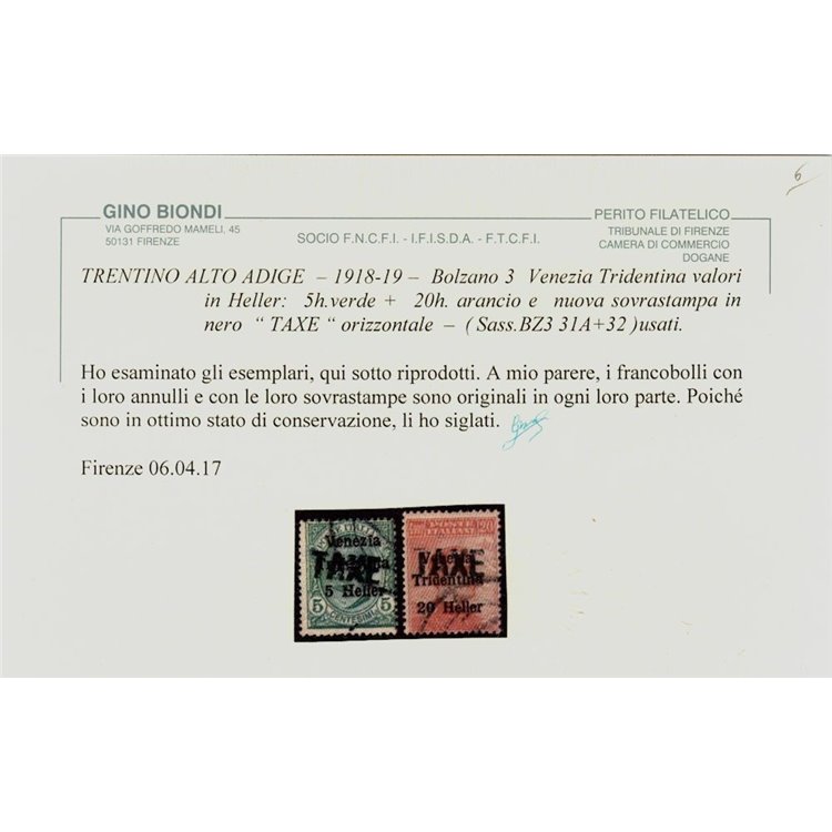 TRENTINO (BZ3) 1918-19 Venezia Tridentina soprast. TAXE 2v us ©