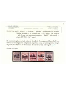 TRENTINO (BZ3) 1918-19 Trento e Trieste soprast. TAXE 5v MNH** ©