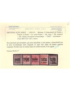 TRENTINO (BZ3) 1918-19 Trento e Trieste soprast. TAXE 5v MH* ©