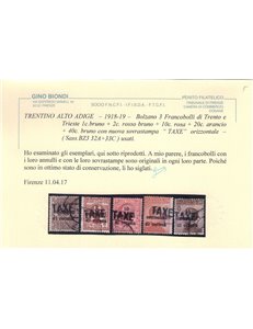 TRENTINO (BZ3) 1918-19 Trento e Trieste soprast. TAXE 5v us ©
