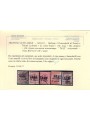 TRENTINO (BZ3) 1918-19 Trento e Trieste soprast. TAXE 5v us ©