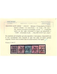 TRENTINO (BZ3) 1918-19 Trento e Trieste (TAXE + T con cifra) 5v MH* ©