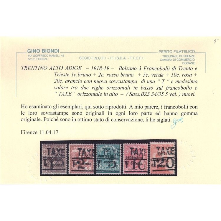 TRENTINO (BZ3) 1918-19 Trento e Trieste (TAXE + T con cifra) 5v MH* ©