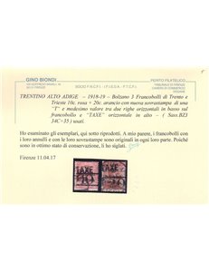 TRENTINO (BZ3) 1918-19 Trento e Trieste (TAXE + T con cifra) 2v us ©